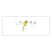 箸マットV971(菜の花)2000枚