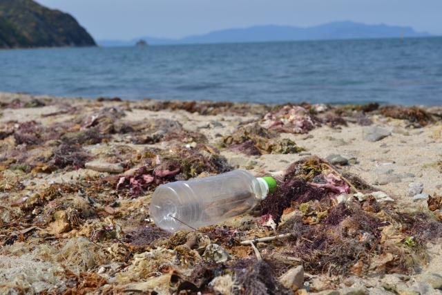 海辺　捨てられたペットボトル