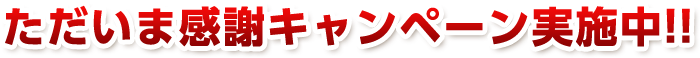 ただいま感謝キャンペーン実施中!!