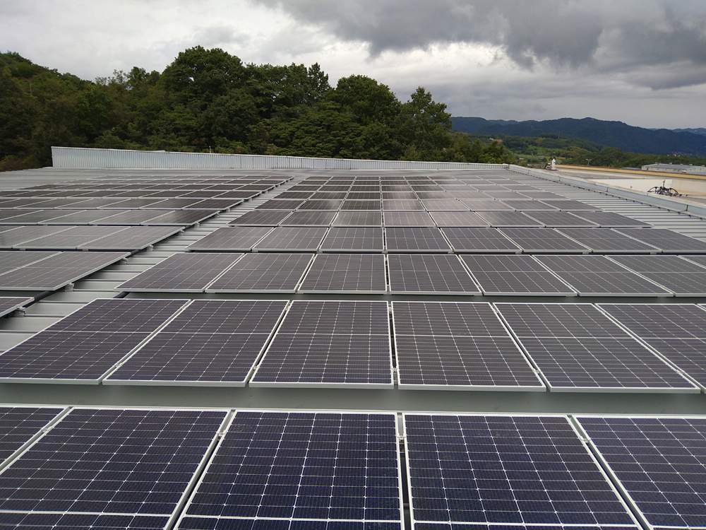 写真：倉庫屋上設置の太陽光パネル