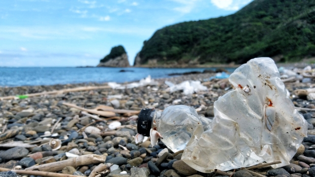 沿岸　ペットボトルのゴミ