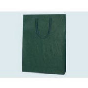 カラーチャームバック 2才(グリーン) 100枚