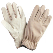 2395 豚ライナー 240双