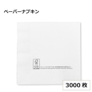 2プライナプキン 4ツ折 M 3000枚