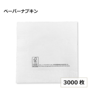 1プライナプキン 4ツ折 M 3000枚